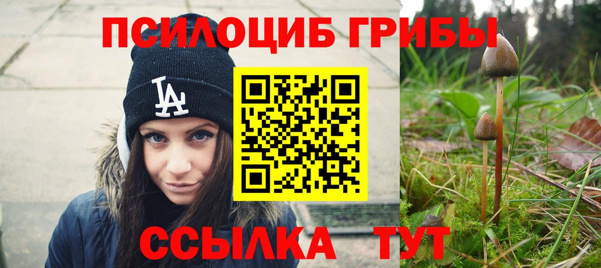 где купить наркоту  Галлюциногенные грибы MAGIC MUSHROOMS  Вход с VPN  Уварово 