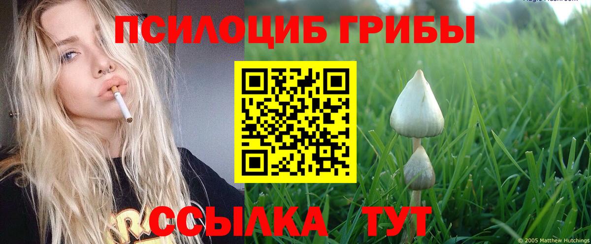 Псилоцибиновые грибы Psilocybe Уварово